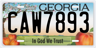 GA license plate CAW7893