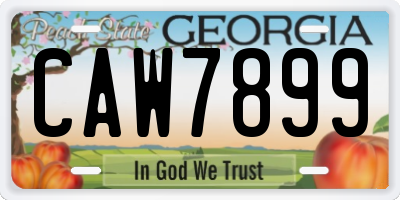 GA license plate CAW7899