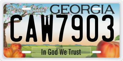 GA license plate CAW7903