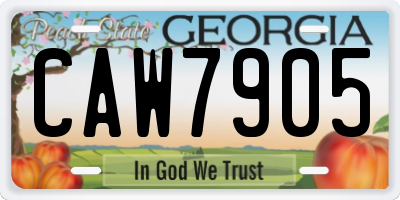 GA license plate CAW7905