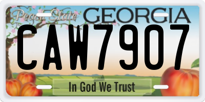 GA license plate CAW7907