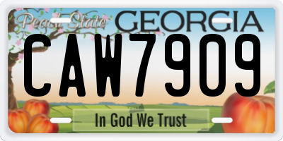 GA license plate CAW7909