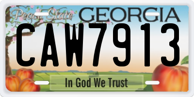 GA license plate CAW7913