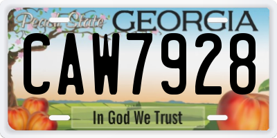 GA license plate CAW7928