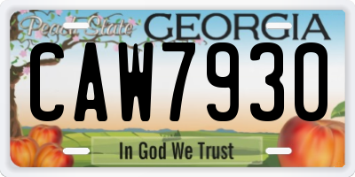 GA license plate CAW7930