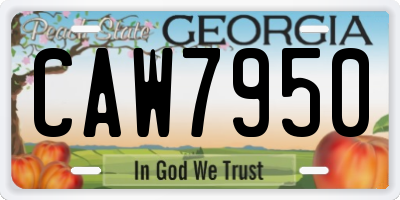 GA license plate CAW7950