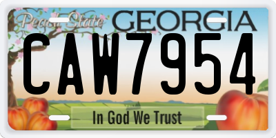 GA license plate CAW7954