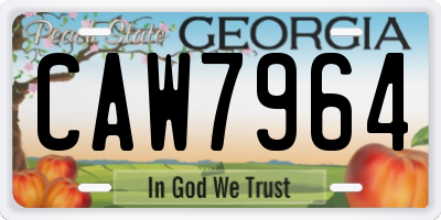 GA license plate CAW7964