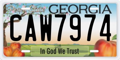 GA license plate CAW7974