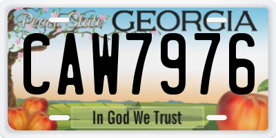 GA license plate CAW7976