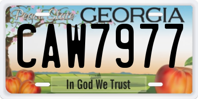 GA license plate CAW7977