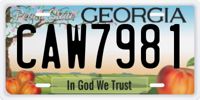 GA license plate CAW7981