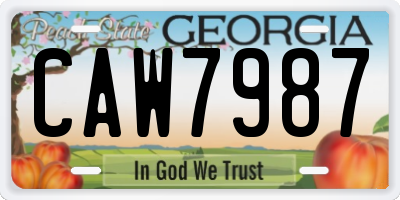 GA license plate CAW7987
