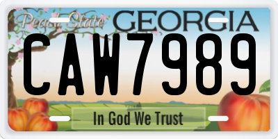 GA license plate CAW7989