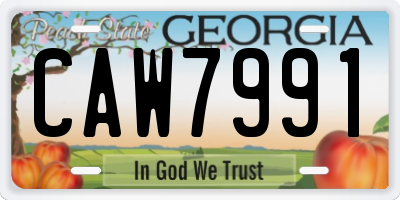 GA license plate CAW7991