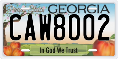 GA license plate CAW8002