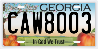 GA license plate CAW8003