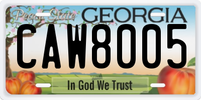 GA license plate CAW8005