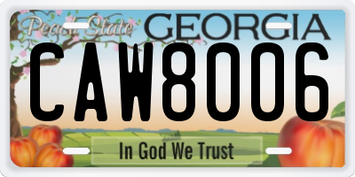 GA license plate CAW8006