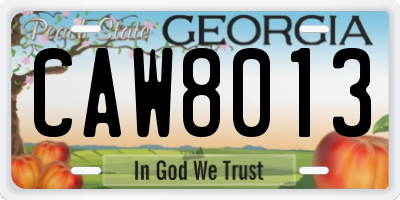 GA license plate CAW8013