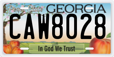 GA license plate CAW8028
