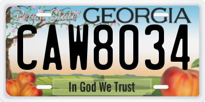 GA license plate CAW8034