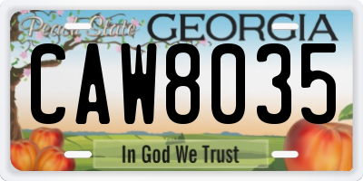 GA license plate CAW8035
