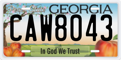 GA license plate CAW8043