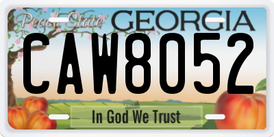 GA license plate CAW8052