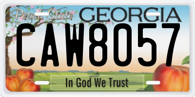 GA license plate CAW8057