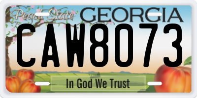 GA license plate CAW8073