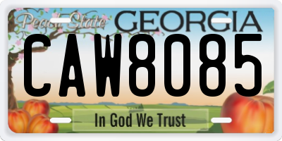 GA license plate CAW8085