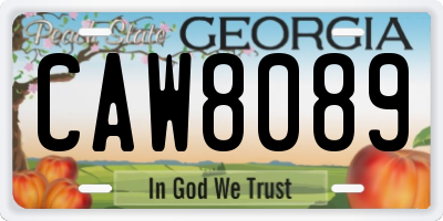 GA license plate CAW8089