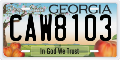 GA license plate CAW8103