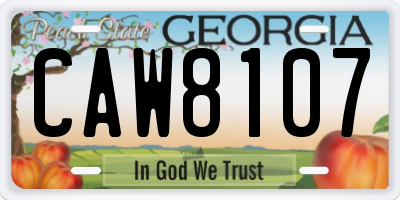 GA license plate CAW8107