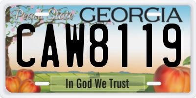 GA license plate CAW8119