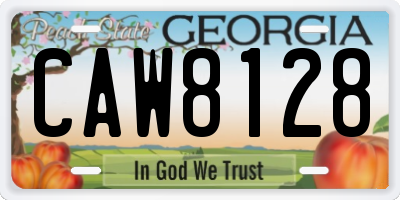 GA license plate CAW8128