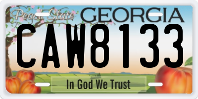 GA license plate CAW8133
