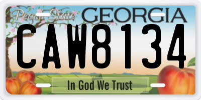 GA license plate CAW8134