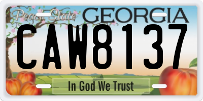 GA license plate CAW8137