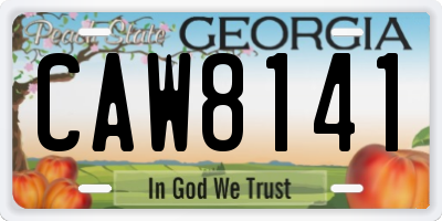 GA license plate CAW8141