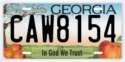 GA license plate CAW8154
