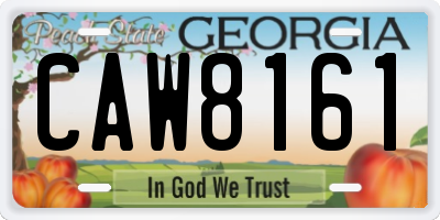 GA license plate CAW8161