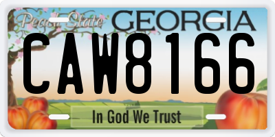 GA license plate CAW8166