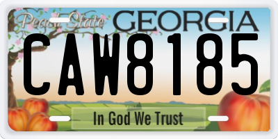 GA license plate CAW8185