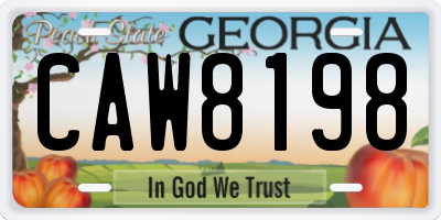 GA license plate CAW8198