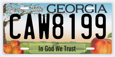 GA license plate CAW8199