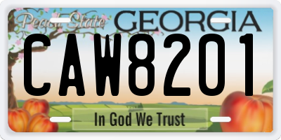 GA license plate CAW8201