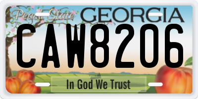 GA license plate CAW8206