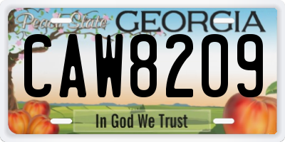 GA license plate CAW8209